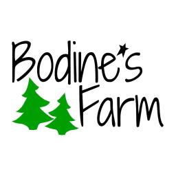 Bodine's Christmas Tree Farm logo