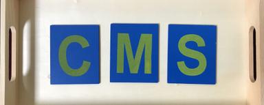 Canandaigua Montessori School