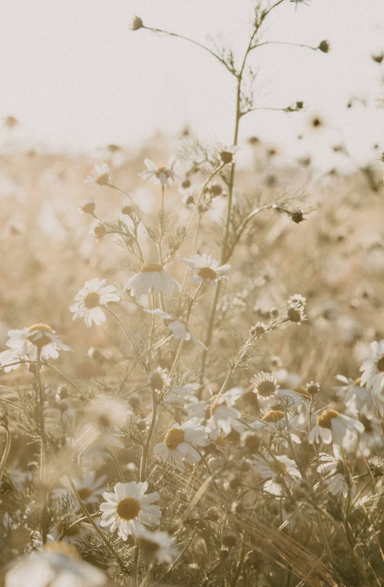 Finley Psychiatric Nurse Practitioner, PLLC