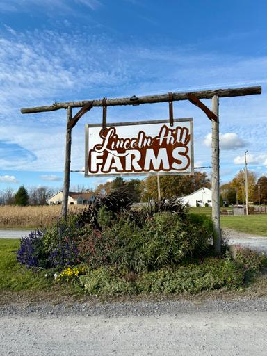 Lincoln Hill Farms