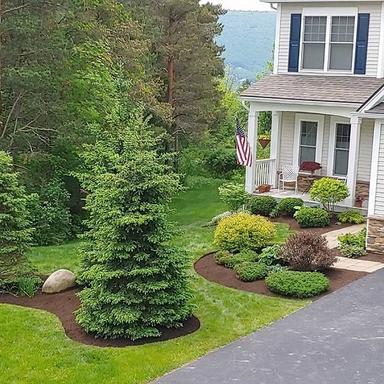 Perennial Lawn and Landscape