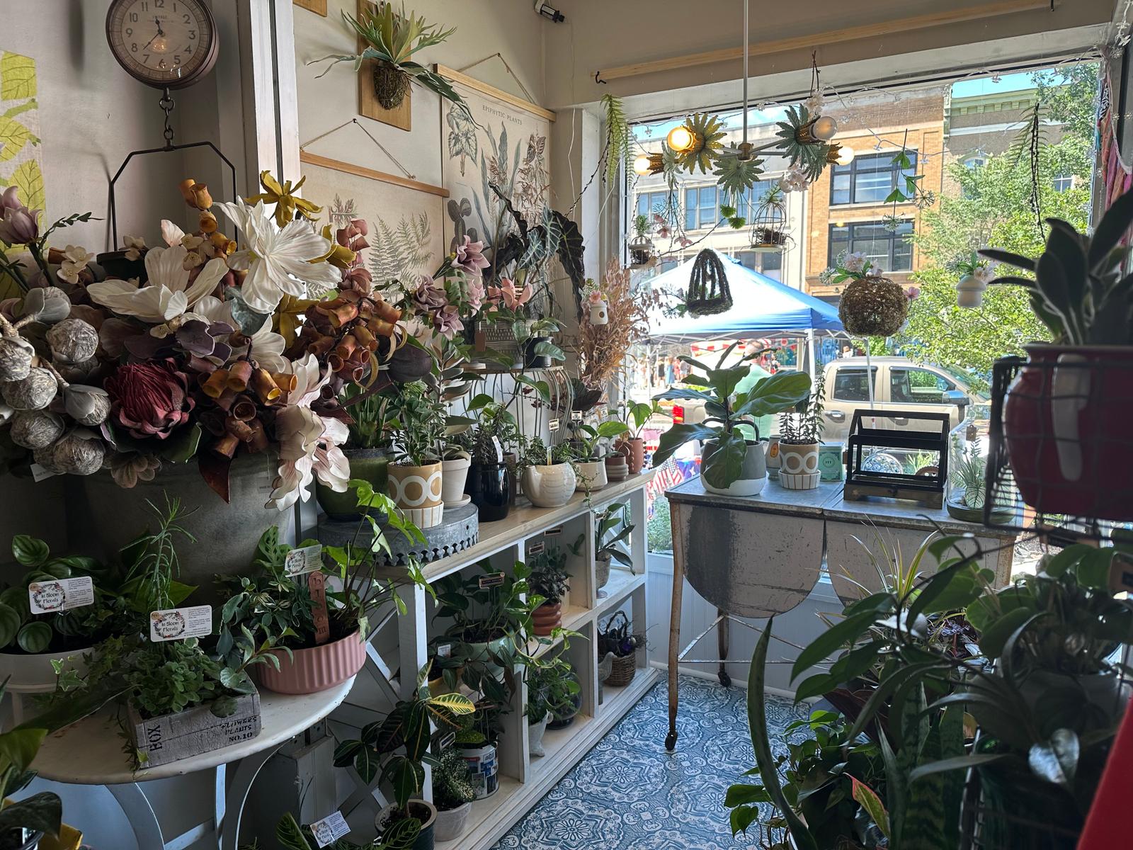 In Bloom: Growing Joy, Cultivating Community